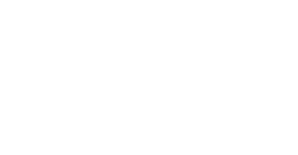 TwistNLock Logo - white
